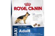 Храна за кучета Royal Canin Maxi Adult, 15 кг